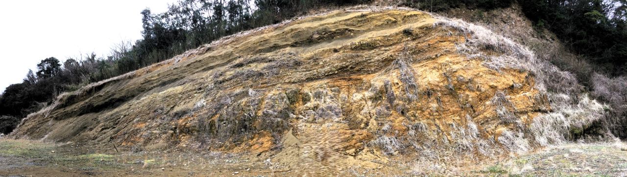 「化石ひろば周辺の地層と化石」