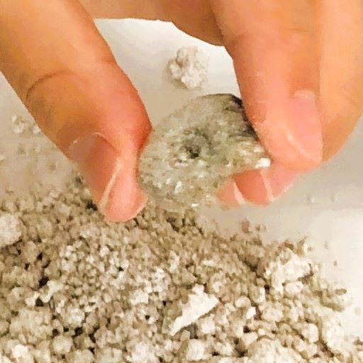 『プチクリーニング体験』