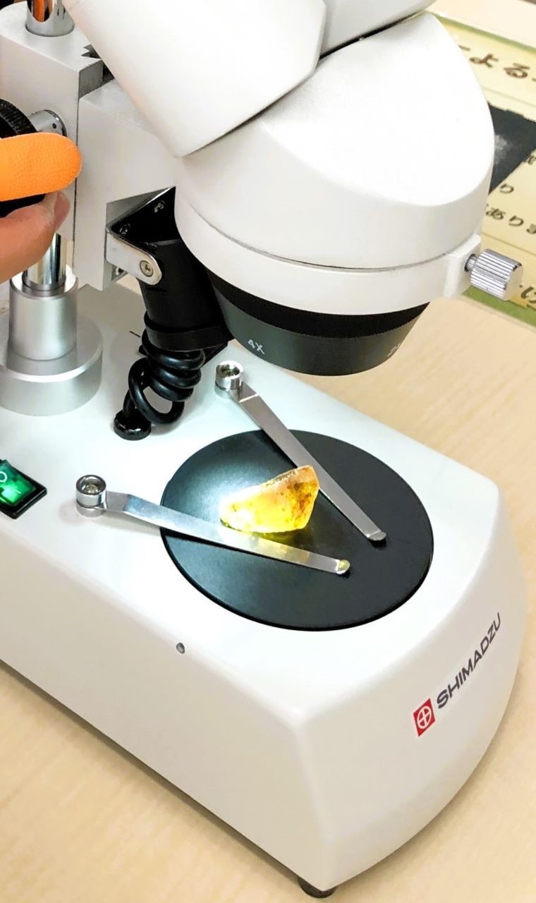 『琥珀の世界』